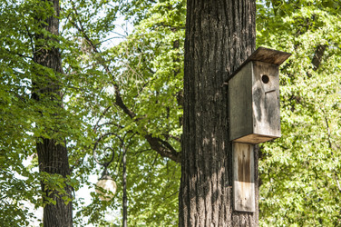 Similar image 21089999