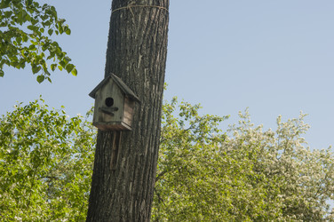 Similar image 21090000