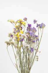 Similar image 21084260