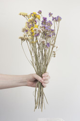 Similar image 21084262