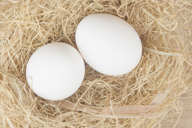 Similar image 21089436