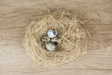 Similar image 21089440