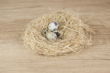 Similar image 21089441