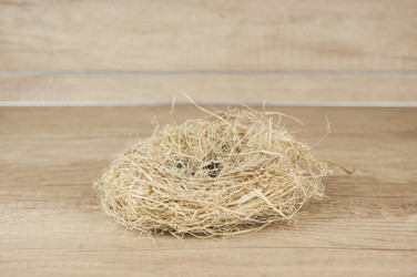 Similar image 21089442