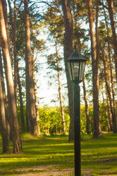 Similar image 21084682