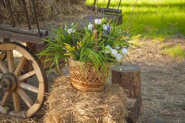 Similar image 21088263