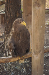 Similar image 21088264