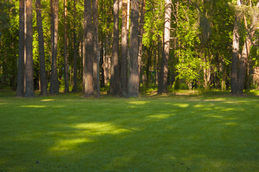 Similar image 21089138