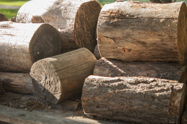 Similar image 21089475