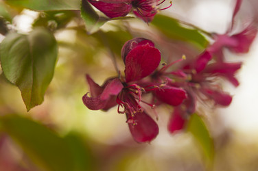 Similar image 21089495