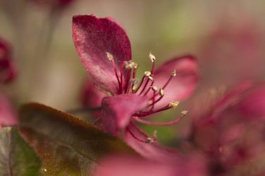 Similar image 21089496