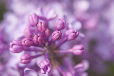 Similar image 21089499