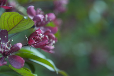 Similar image 21089500