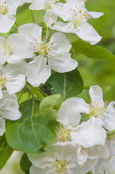 Similar image 21089781