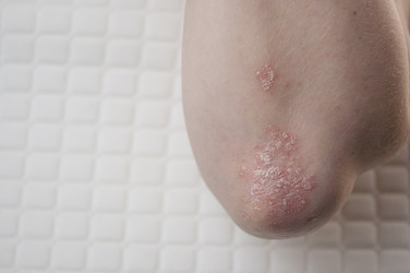 Similar image 21089523