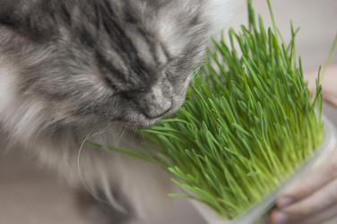 Similar image 21090025