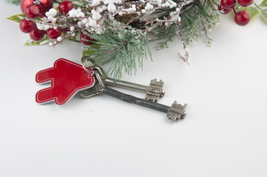 Similar image 21090031