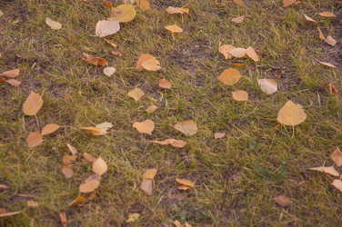 Similar image 21081938