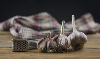 Similar image 21089572