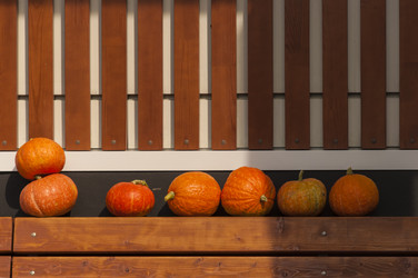 Similar image 21090041