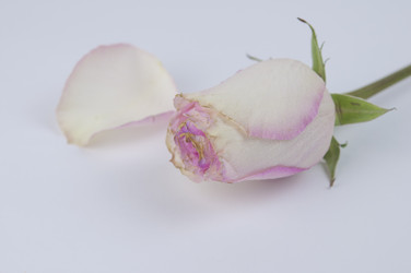 Similar image 21081947