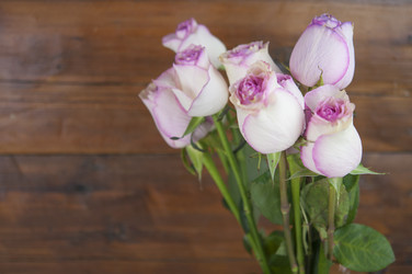 Similar image 21081949