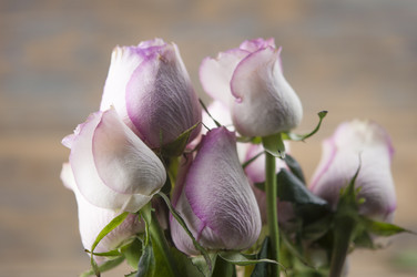 Similar image 21084291