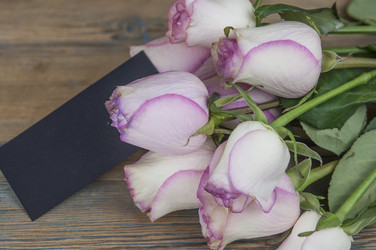 Similar image 21084703