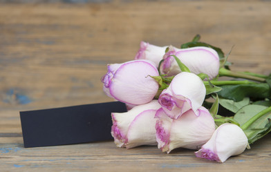 Similar image 21084704