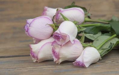 Similar image 21084706