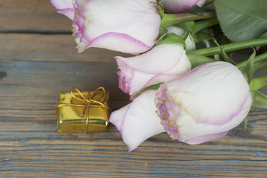 Similar image 21088273