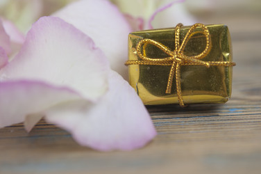 Similar image 21090069