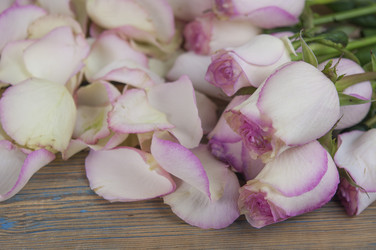 Similar image 21090070