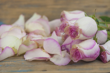 Similar image 21090071