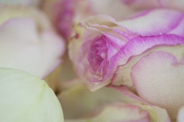 Similar image 21090073