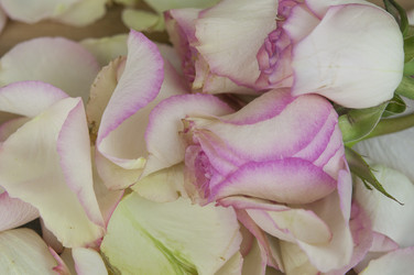 Similar image 21090075