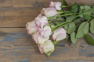 Similar image 21090078