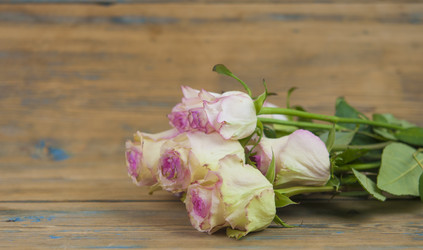 Similar image 21090311