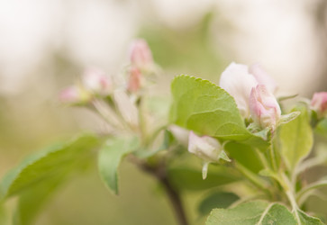 Similar image 21089629