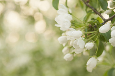 Similar image 21089633