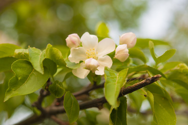 Similar image 21089634