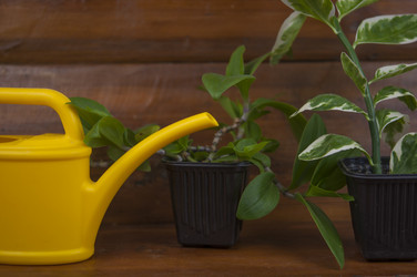 Similar image 21089642