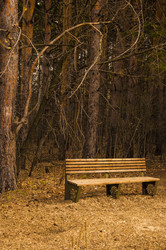 Similar image 21089665