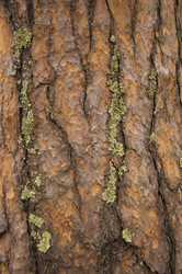 Similar image 21081952