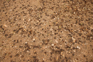 Similar image 21081955