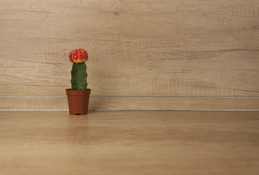 Similar image 21089707