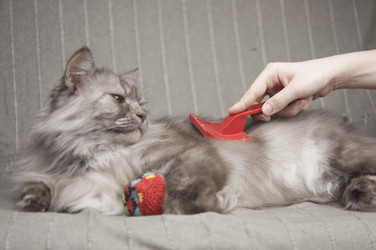 Similar image 21089824