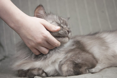 Similar image 21089903