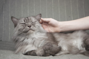 Similar image 21089905