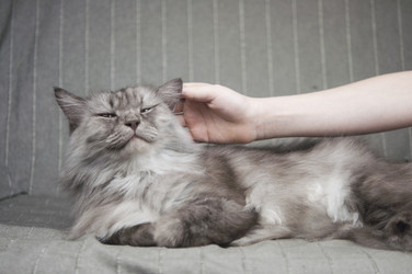 Similar image 21090141